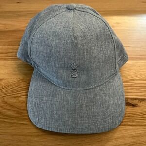 Chubbies Pineapple Logo‎ Hat Gray Chambray Adjustable Baseball Cap